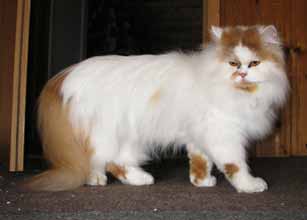 19.05.09 ... auf Urlaub bei uns ...